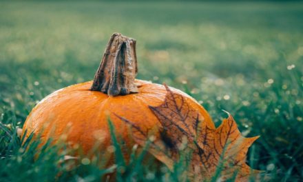 4 Fall Real Estate Marketing Ideas for Your Community