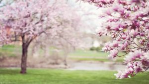real estate marketing ideas for spring